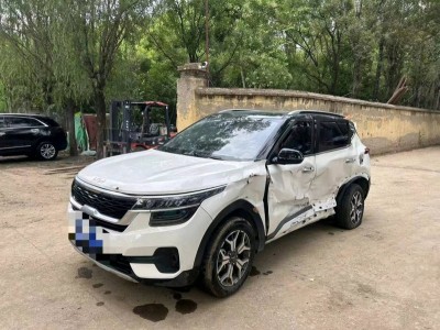 北京22年起亚KX3SUV