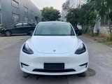 衢州抵押车2023-02特斯拉MODEL Y抵押车纯电L